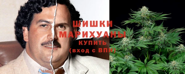 сатива Абдулино