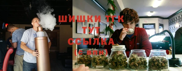 сатива Абдулино