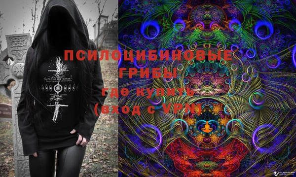 бошки Алзамай