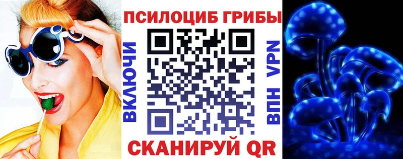 Псилоцибиновые грибы MAGIC MUSHROOMS  Черноголовка 
